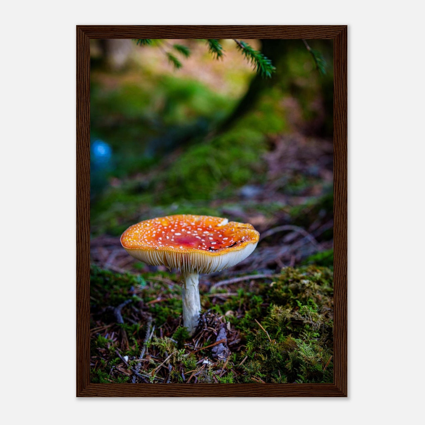 8bd9f5ad-66b4-49b3-b11d-f0f8963ae807