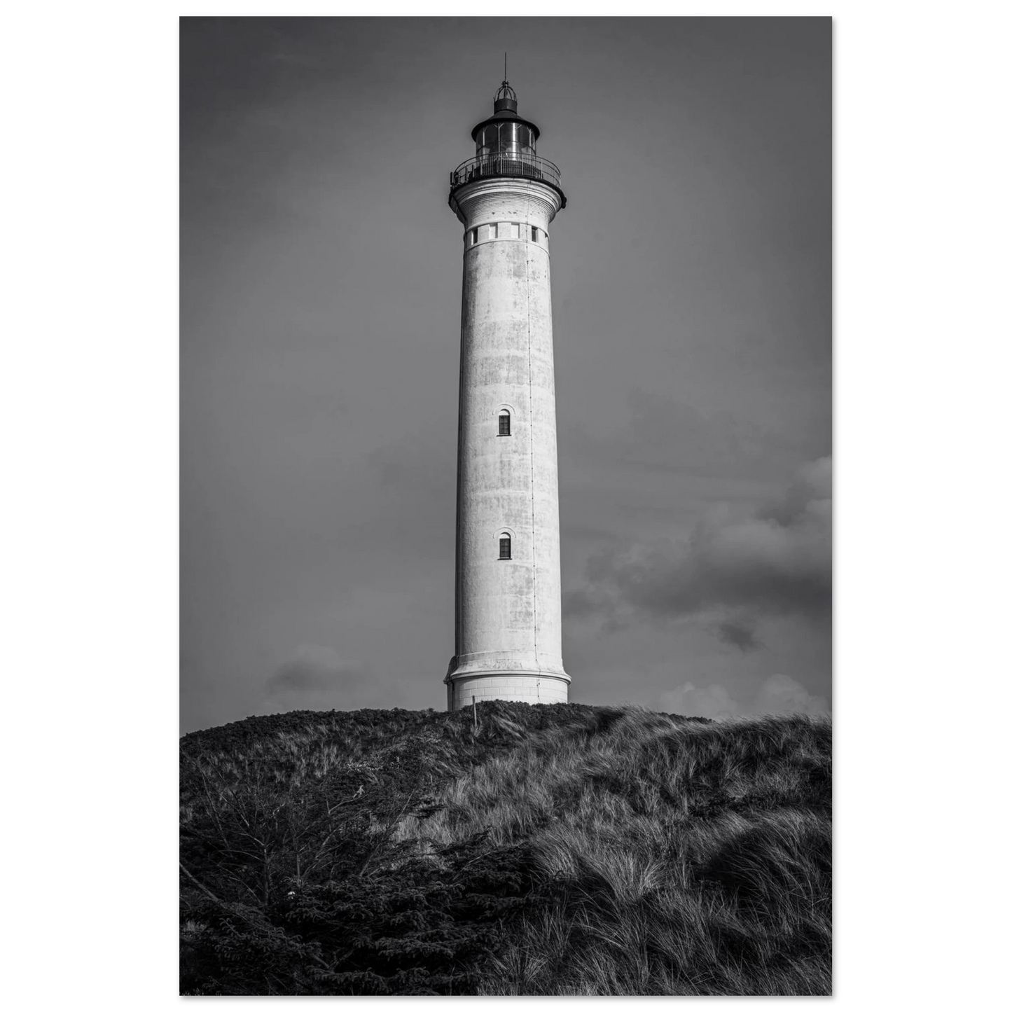 92ec67ff-f6ea-4567-a683-9cfd28d34d90