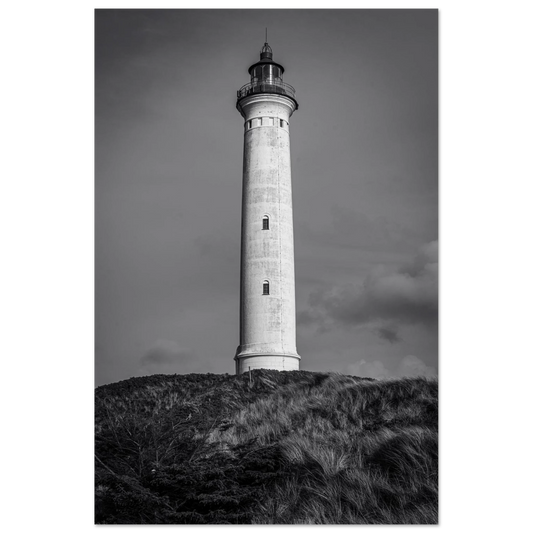 92ec67ff-f6ea-4567-a683-9cfd28d34d90