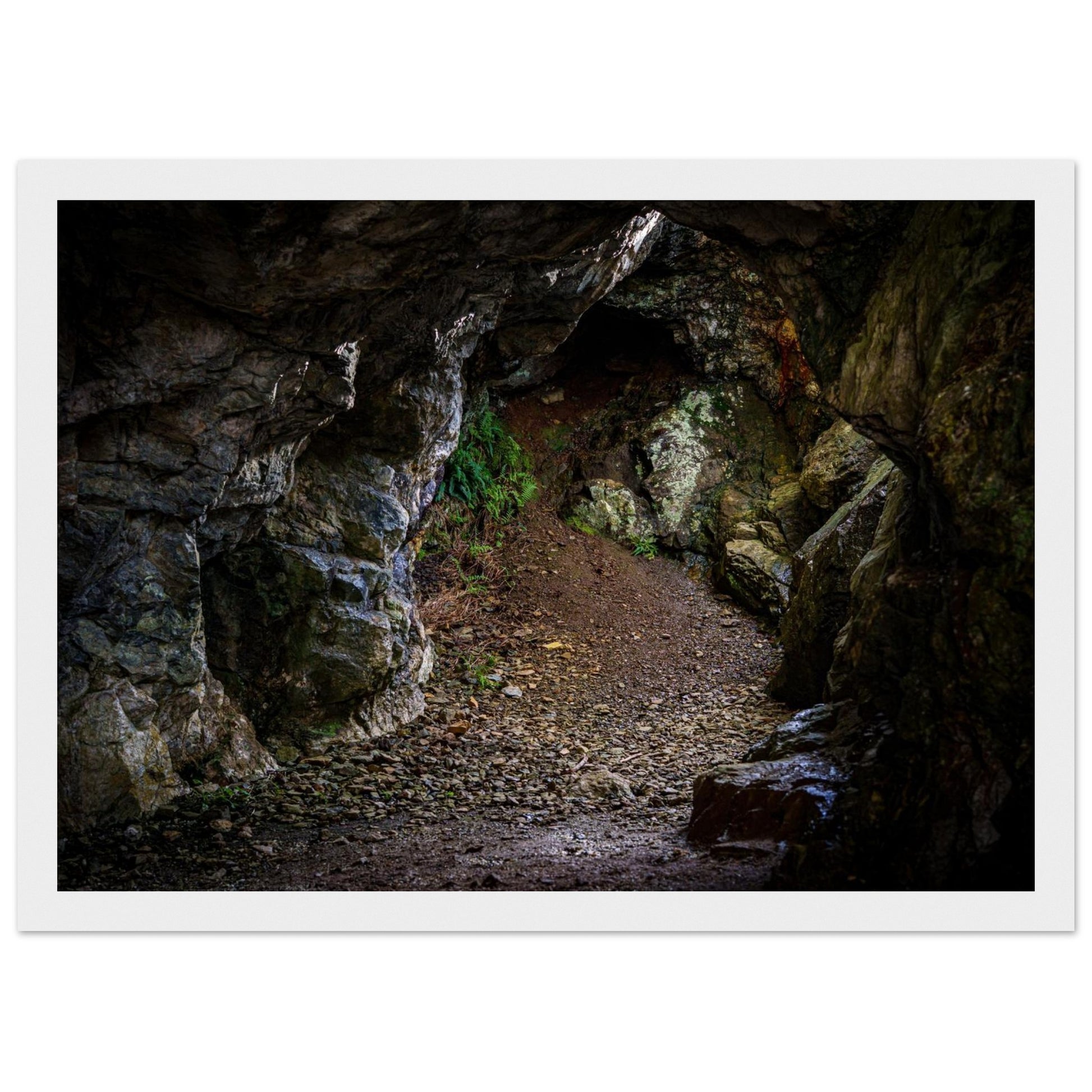 9673b8be-7b14-49bc-a392-0426ecc46f6a