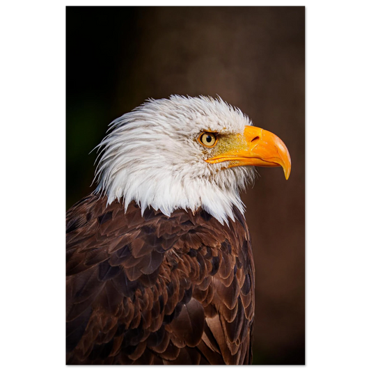 9b9a6d11-ba90-4604-ae7a-5a88d0922e14