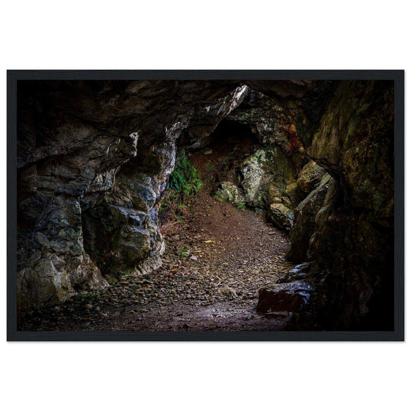 9c4a5777-b079-41d8-8058-4ce1ada87662