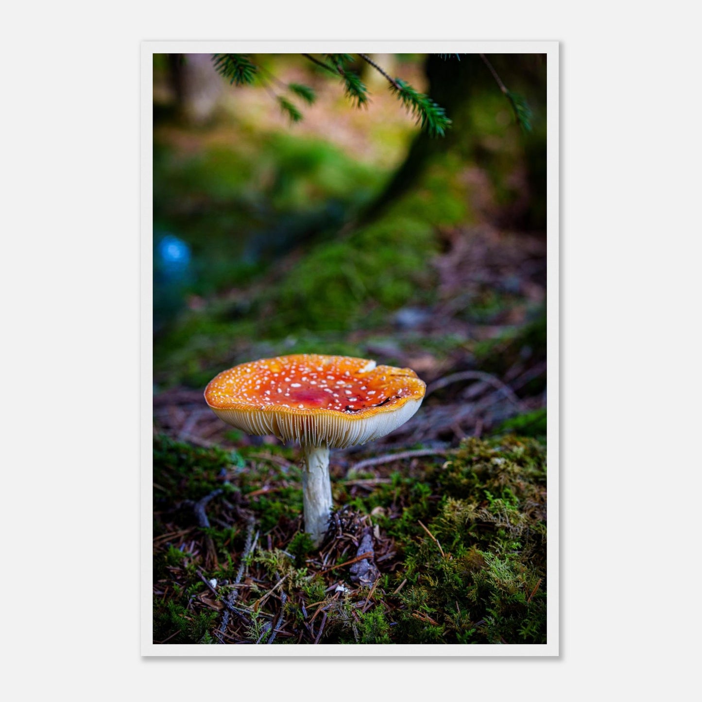 9caf1212-6784-4f1d-8889-e300db95ccd3