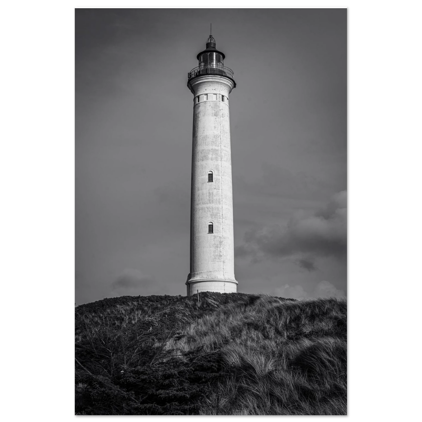 a0b6e1da-fd15-4005-a748-77c3258f6899