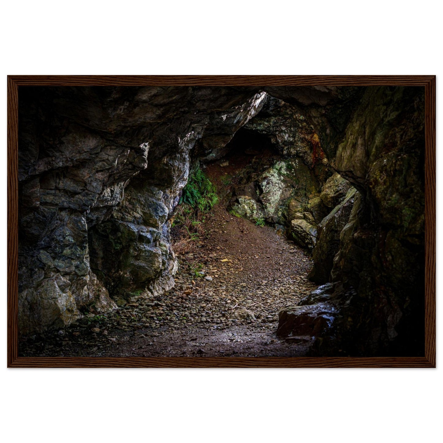 a4503ac7-be58-4d5d-a9a0-8913d5de3ba2