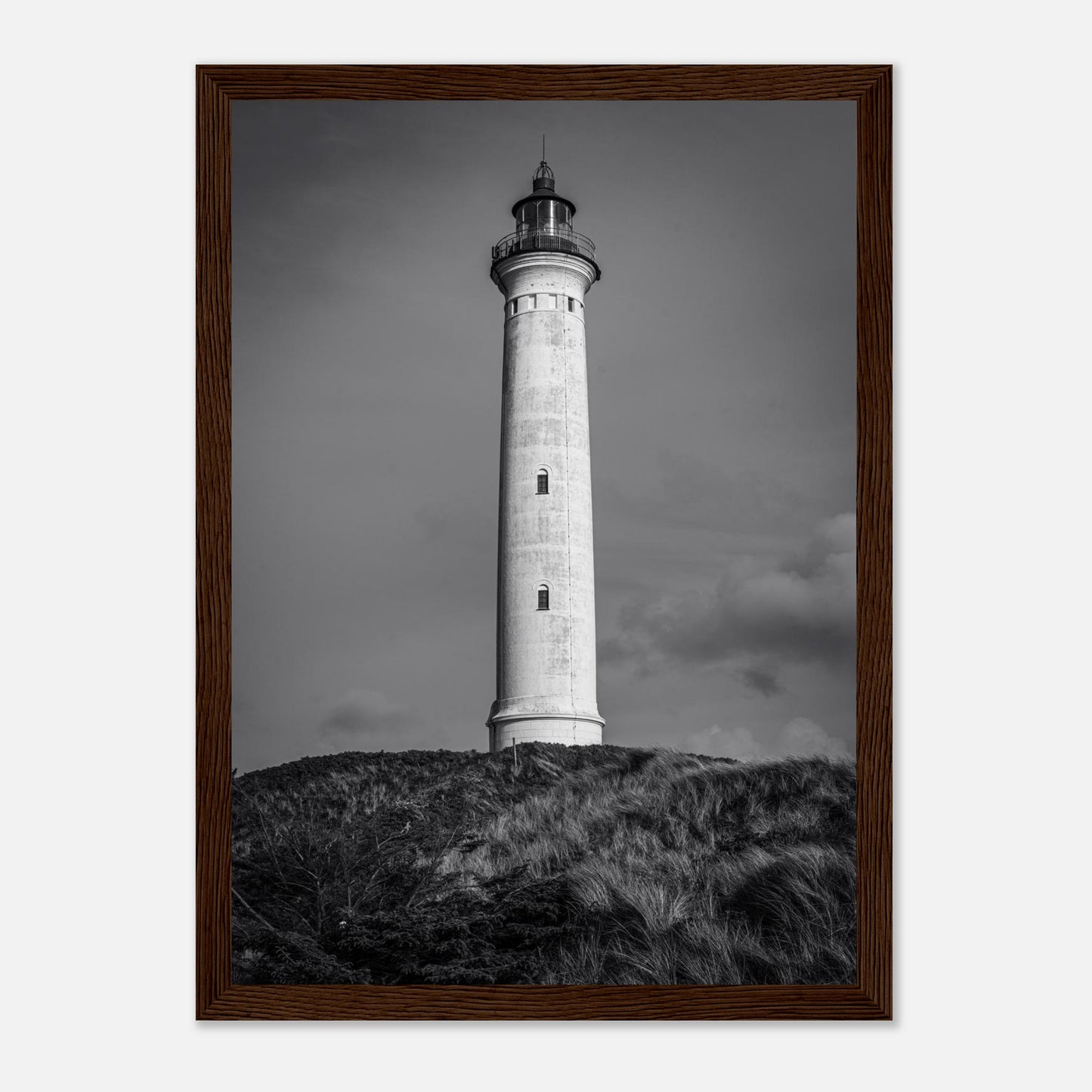 a7f93892-3f2b-4e12-8279-d79bfda43318