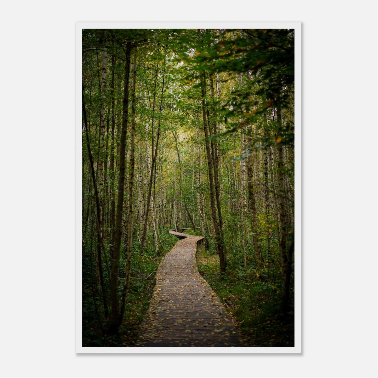 a8252dc2-184a-4a93-854b-3377cd1a96e4