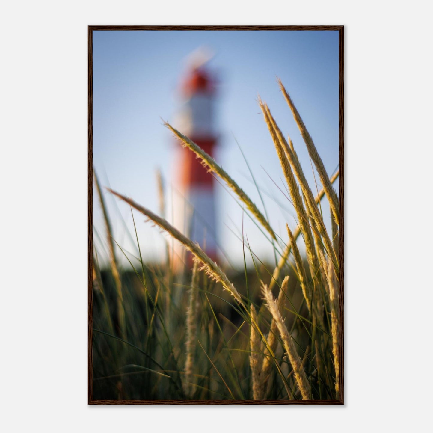 a9bfa45f-2368-43fb-b477-0e8736ad1946