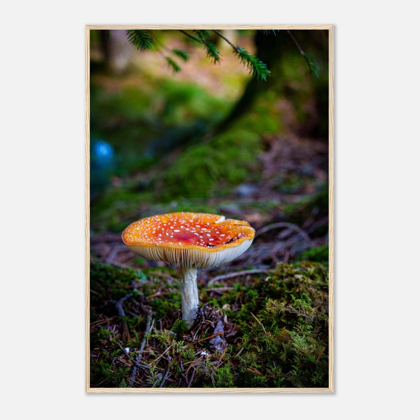 b3930a26-c366-4544-83d8-2a638ffe9b09