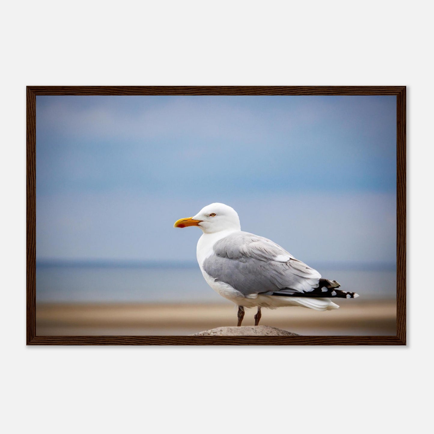 b53ae2e1-c5e9-44e1-84e2-992d2b37cfbe