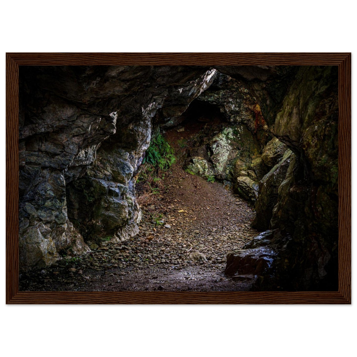 b59677a9-9e6d-4817-813f-3ff176f4852d