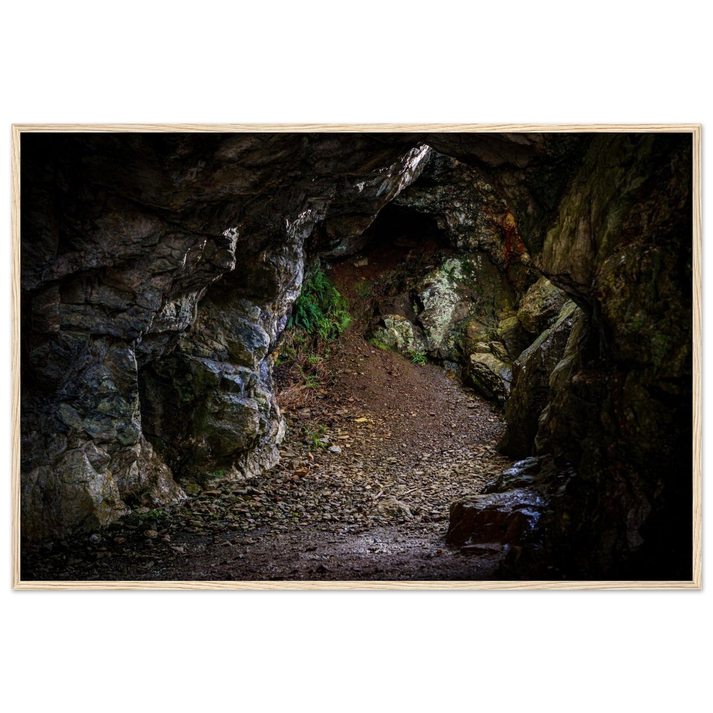 b69b720a-7396-4c85-87a1-f1cd4d9384fc