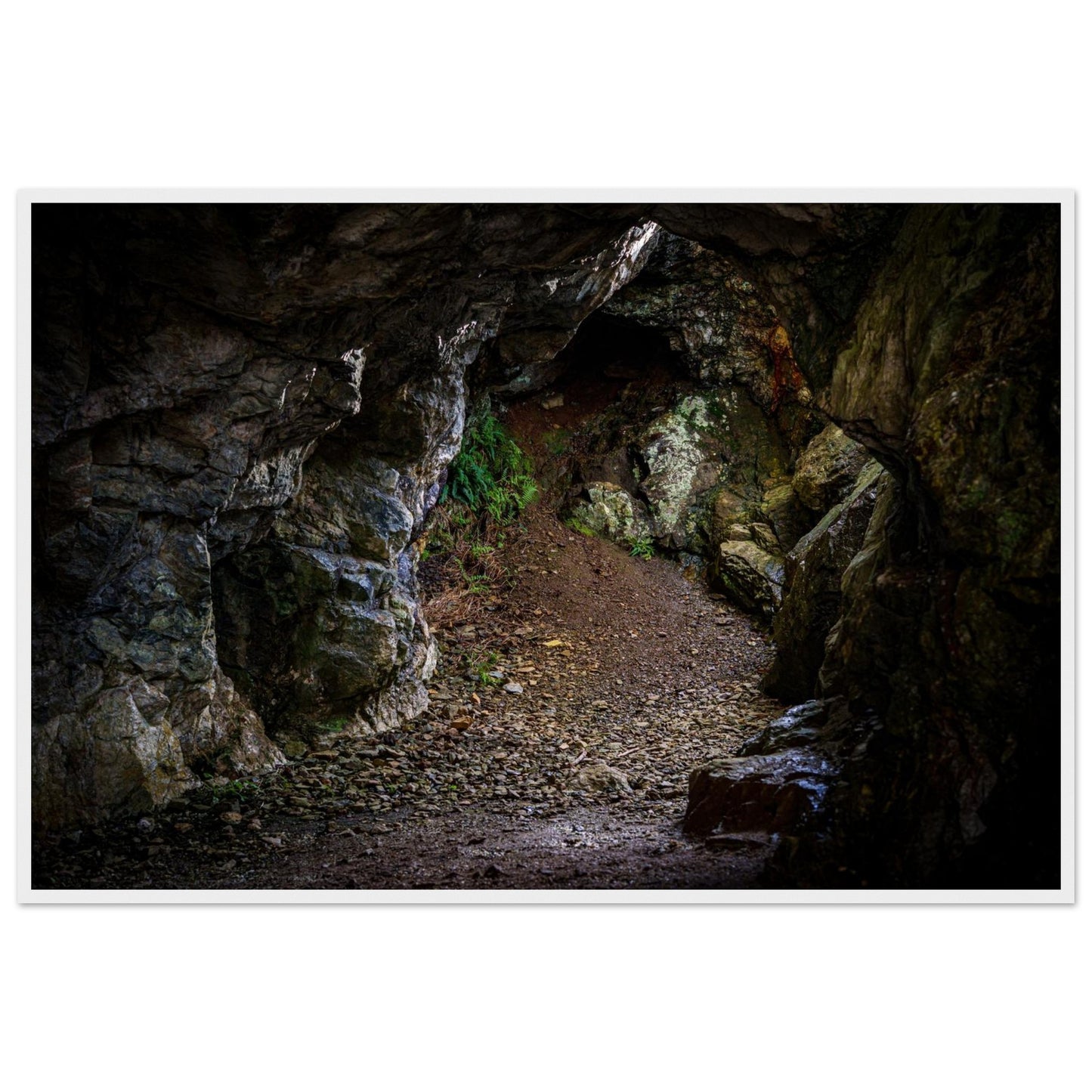 bc154490-c15e-435a-a723-c8bbe54666d8