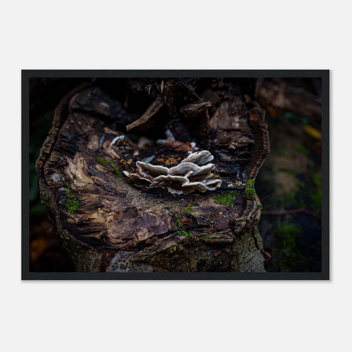 c46a1851-8cf3-41d7-8a17-d8111be3c14b