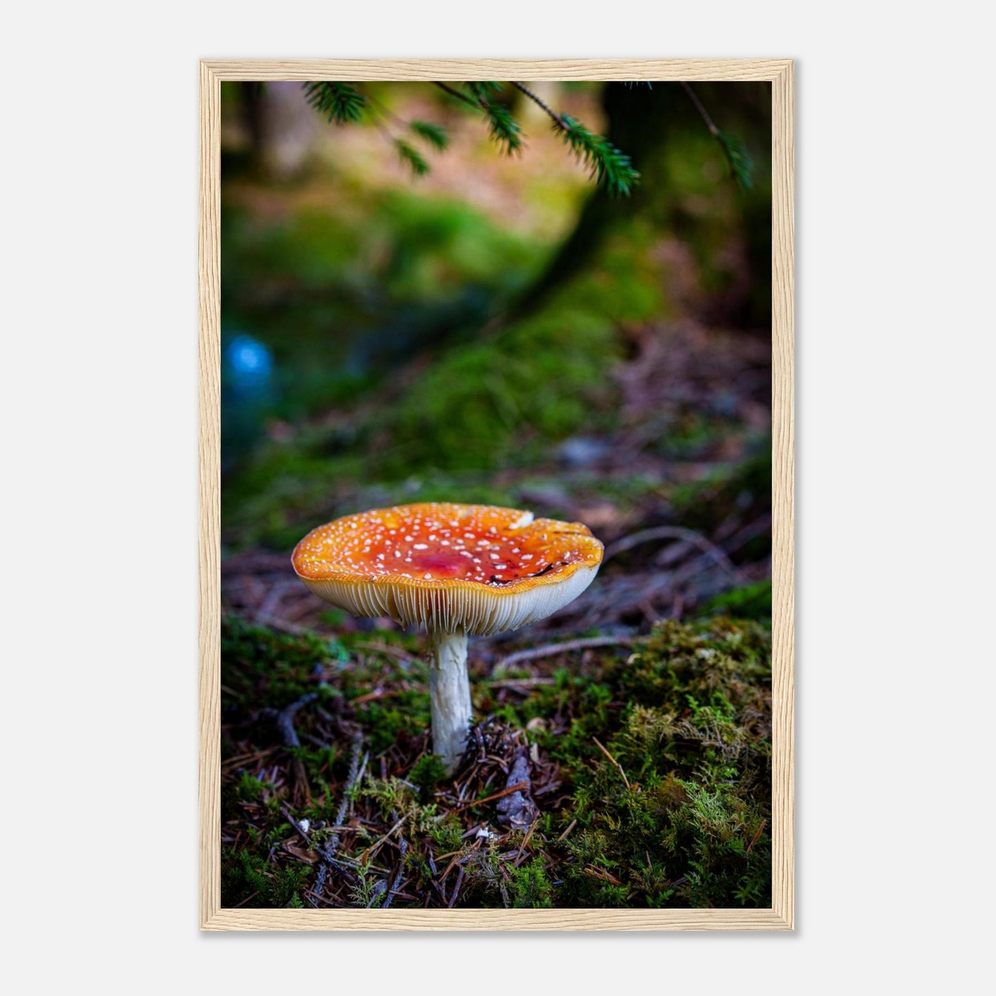 ce96beeb-3037-4e24-bed4-5a75a0498649