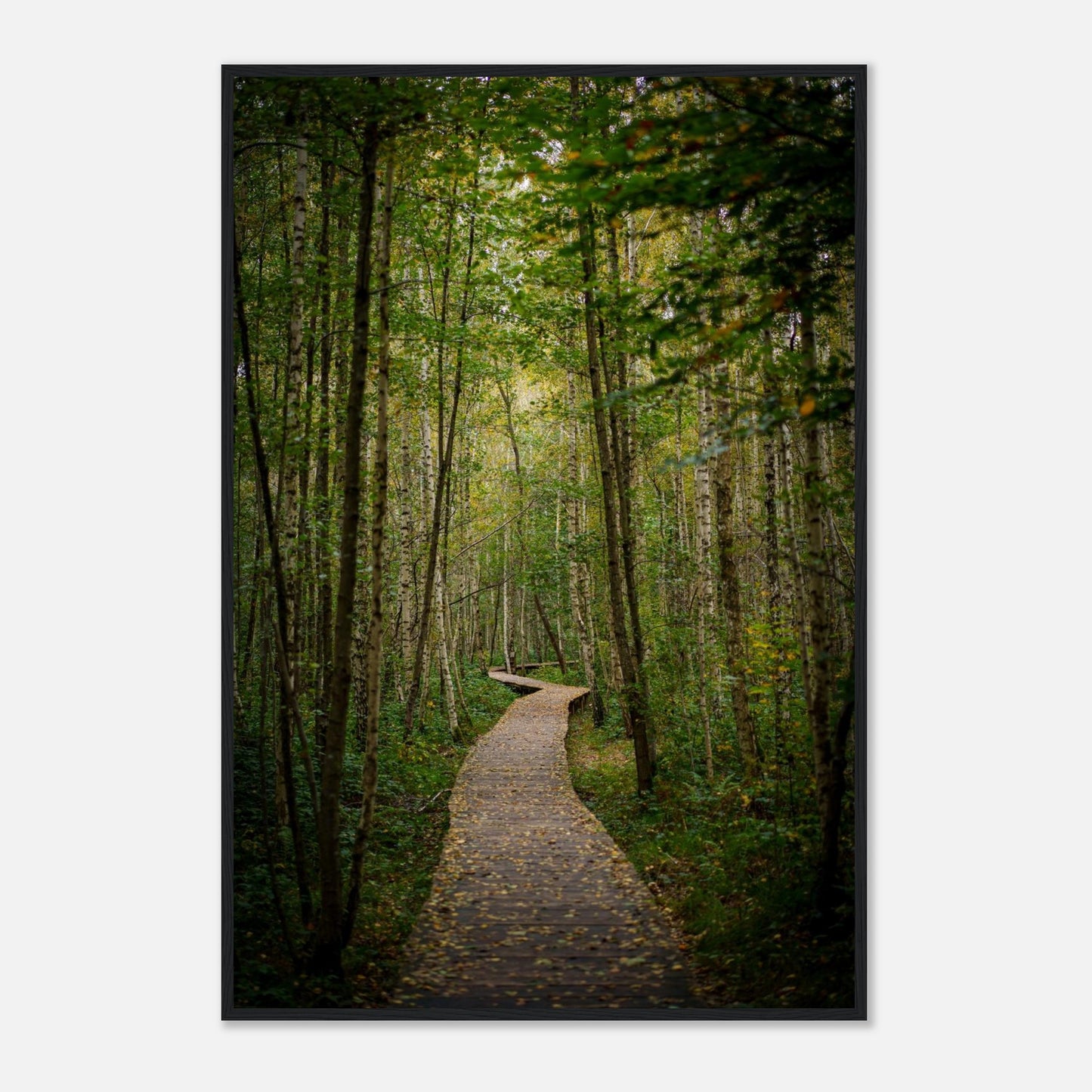 cfd2ce77-8460-4c3a-aeff-1318ec2405de