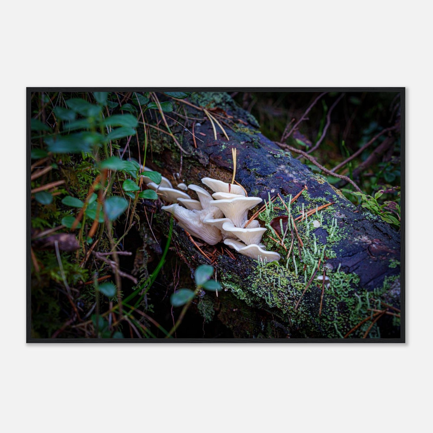 d4e4a1fe-34cf-4ebb-ac39-2734e92762e5