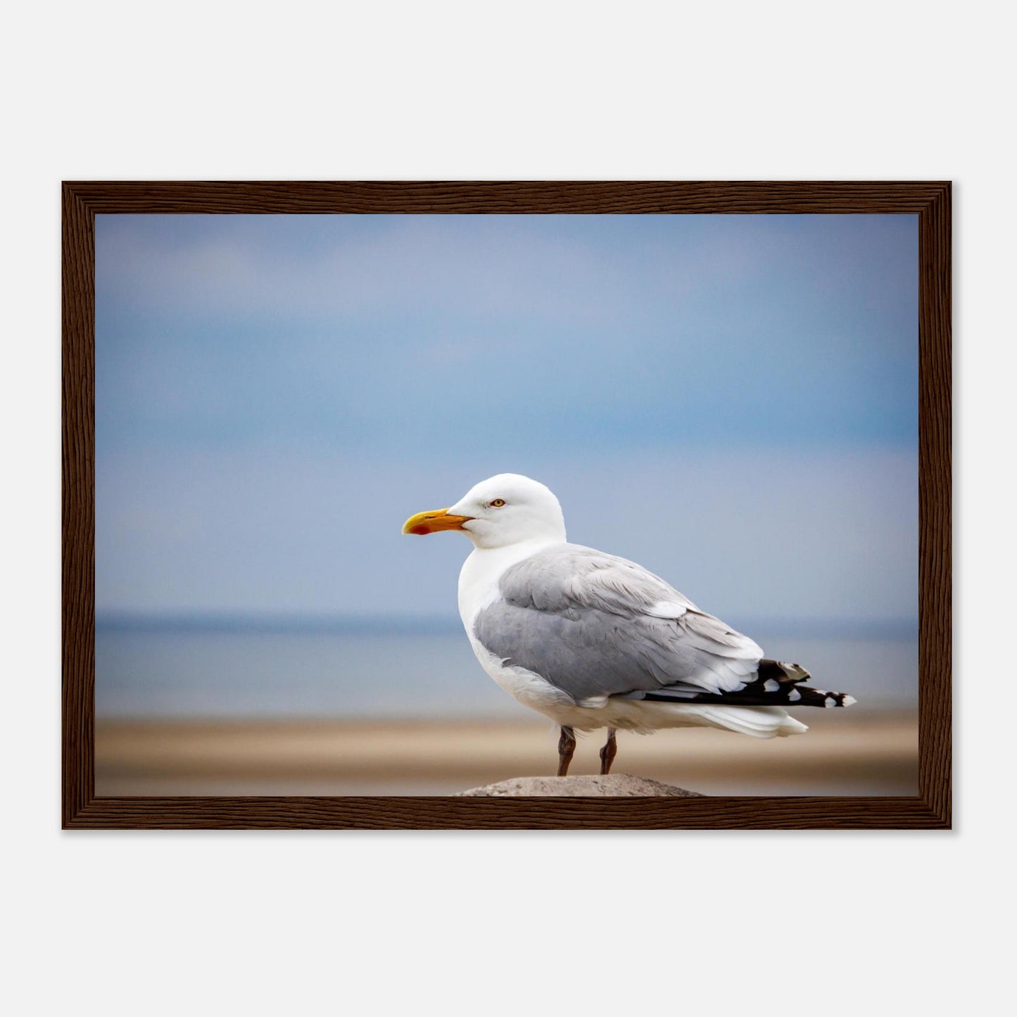 d6c2d544-5163-4f5c-b94e-b892d66bb2ee