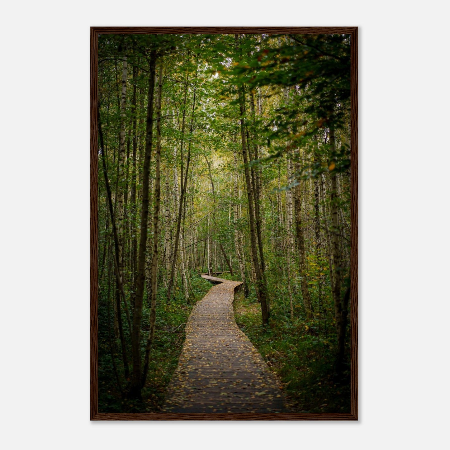 df264511-ac20-4d99-b232-f782f9a25760