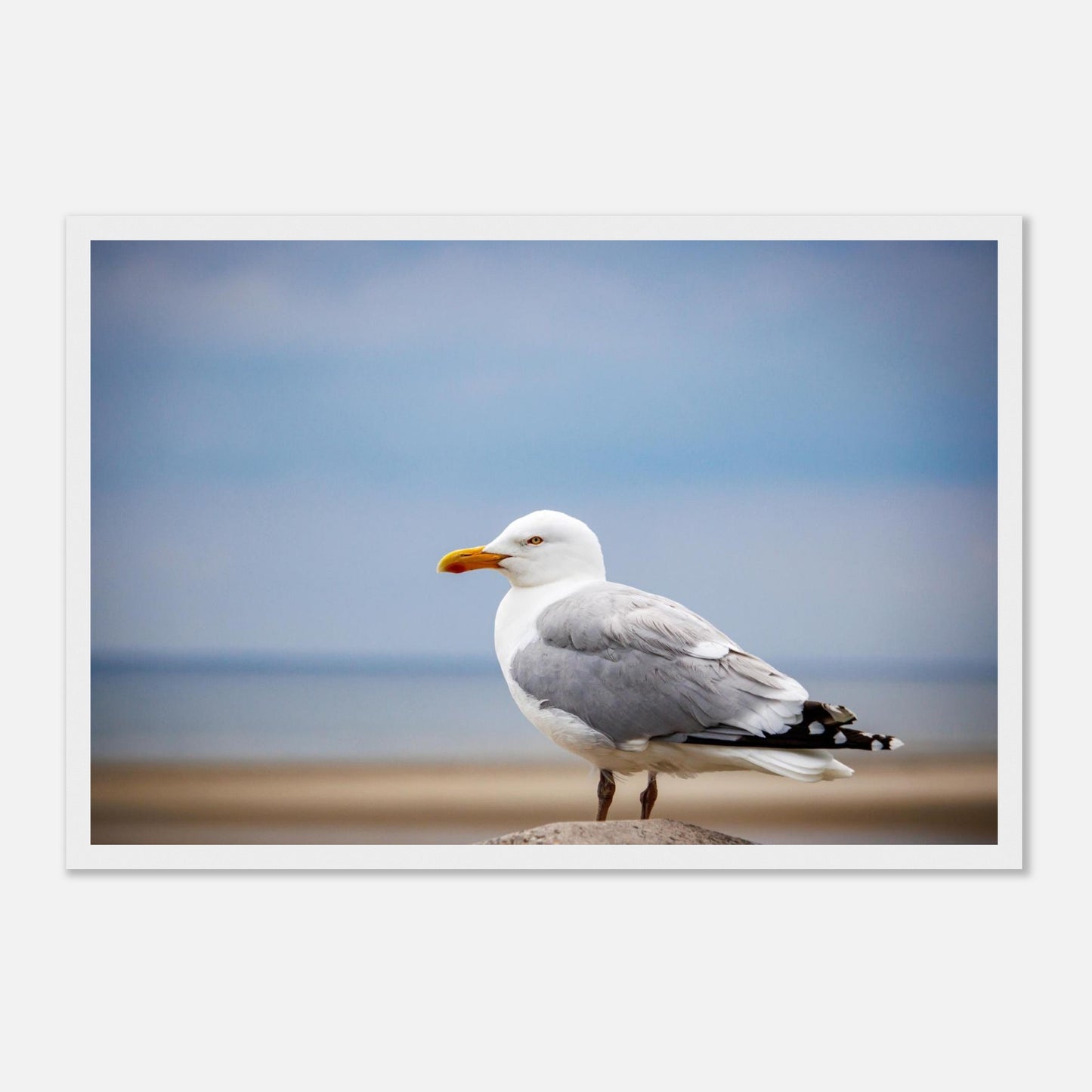 e3b258b8-478d-45ff-8fff-44e1c55d178b