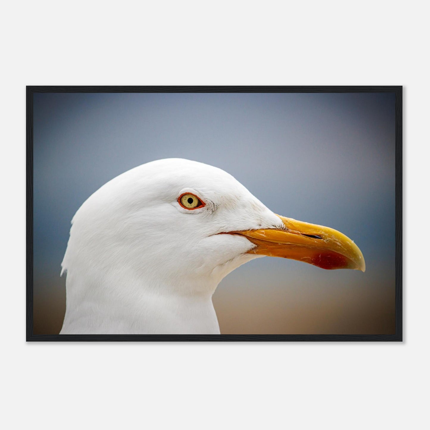 e6809b2c-ebbe-4ae6-a9a1-debb5a45aae2