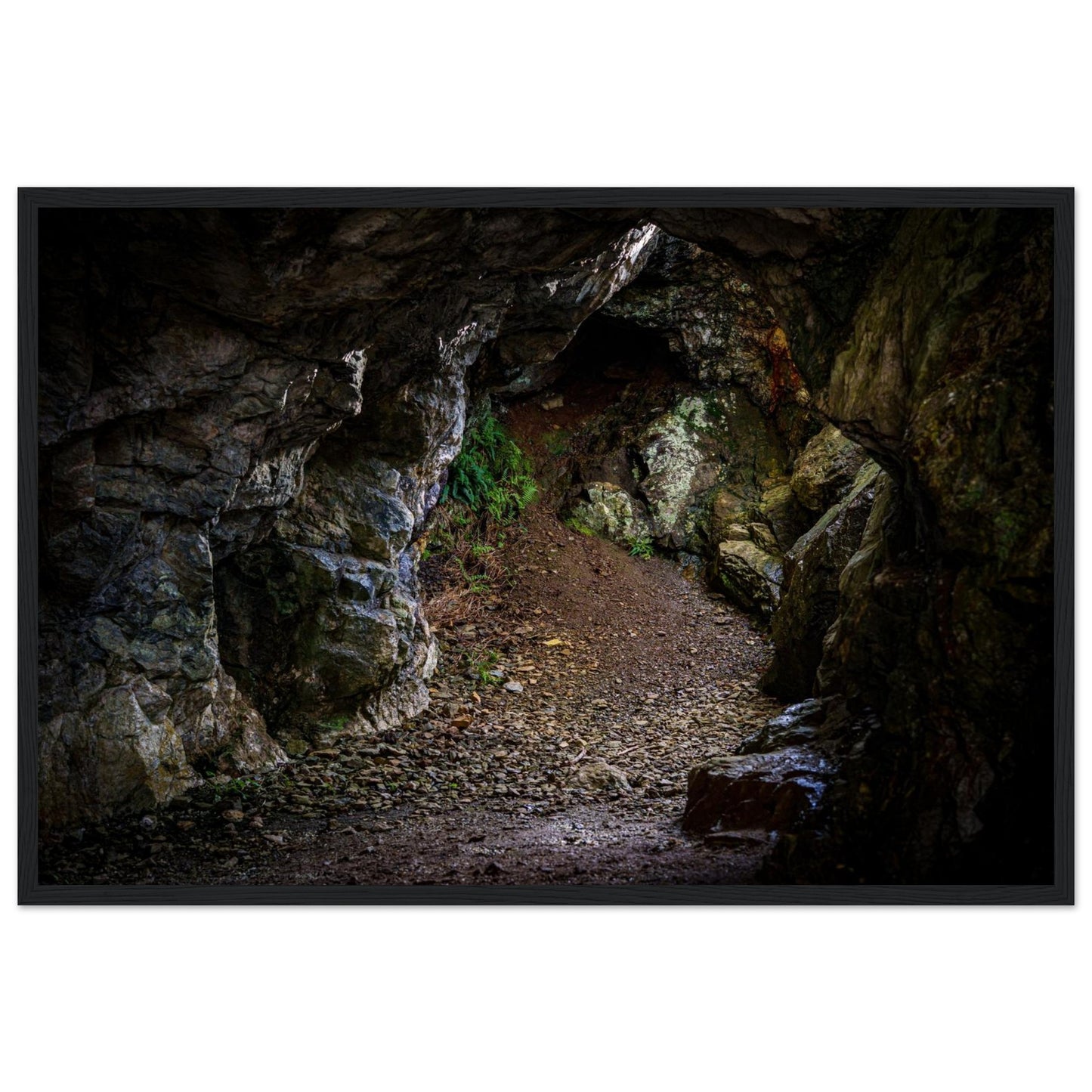 ee654fd2-aa39-4e56-a285-23a0391584c8