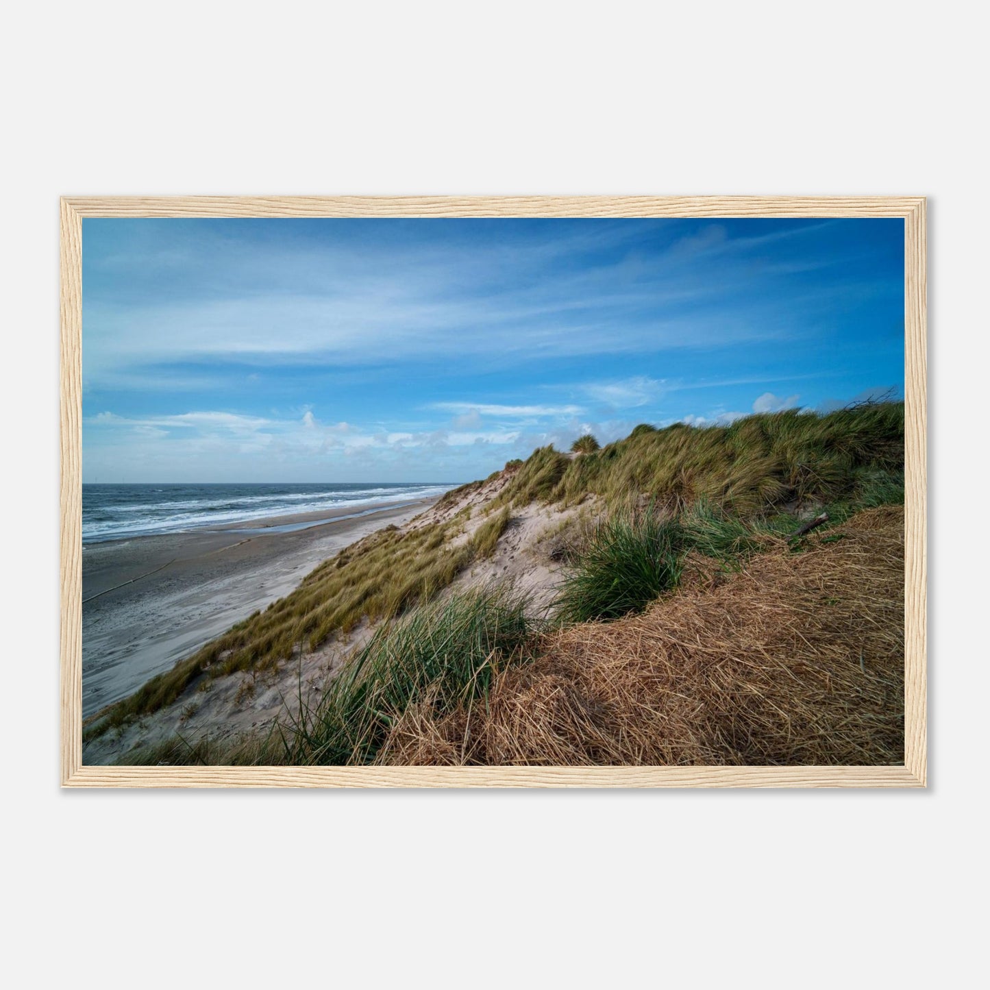 f18c2543-c88c-472f-979a-6c85d49bf685