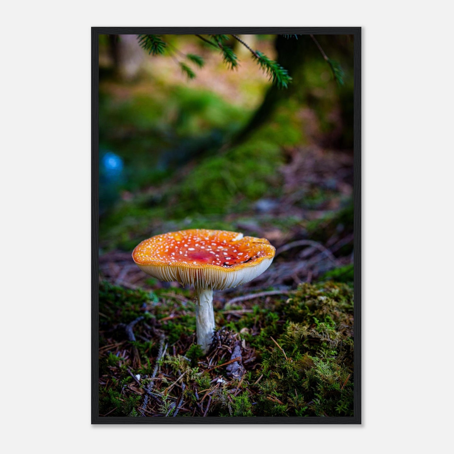 f30f44c6-08d0-4ae7-91da-38e37673e99f