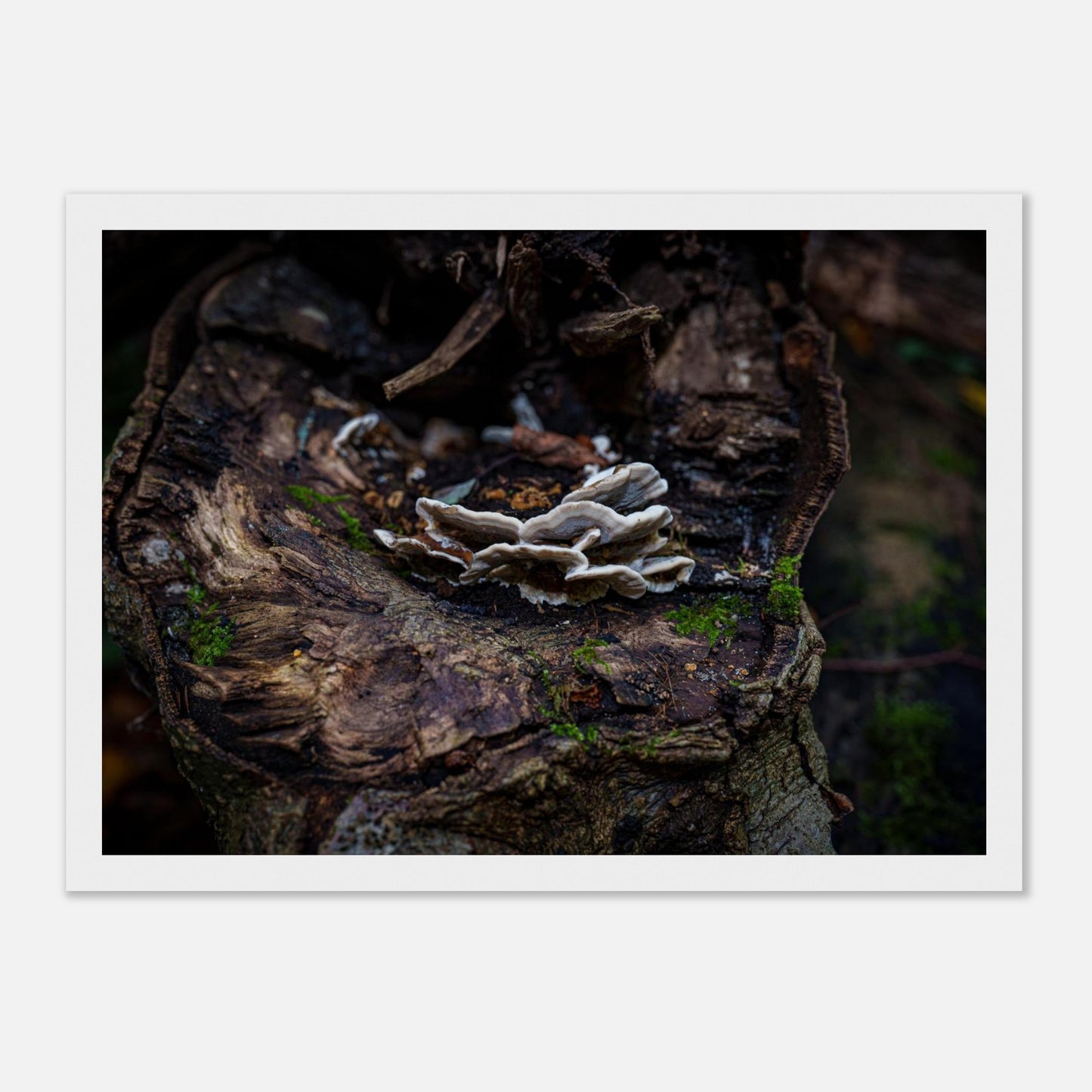 f3c9af10-e0aa-4d71-a8b4-1e8808956cb8