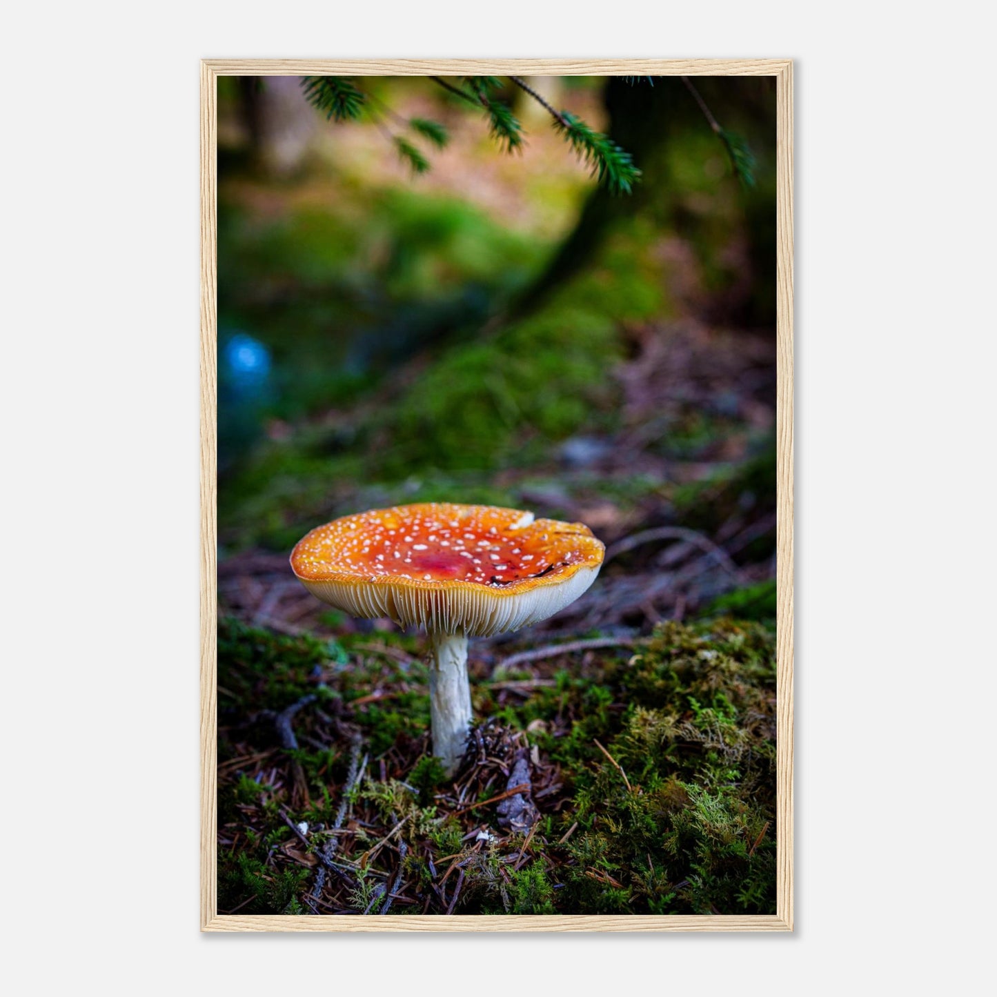 f4e39ea0-2dcb-49a8-b589-ce18754c9c3c