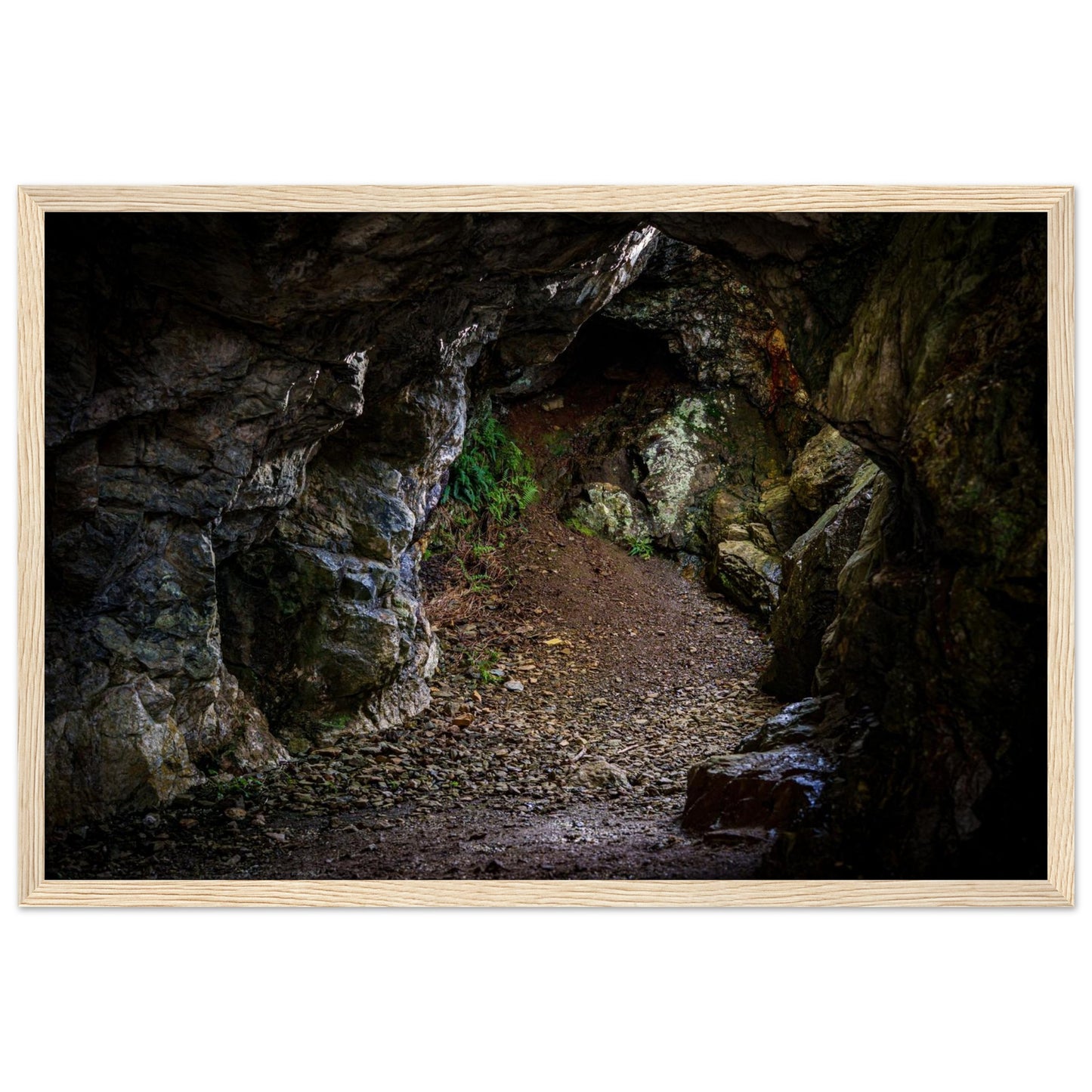 f56903c8-a53b-4cc3-b0a6-0ded93a1504e