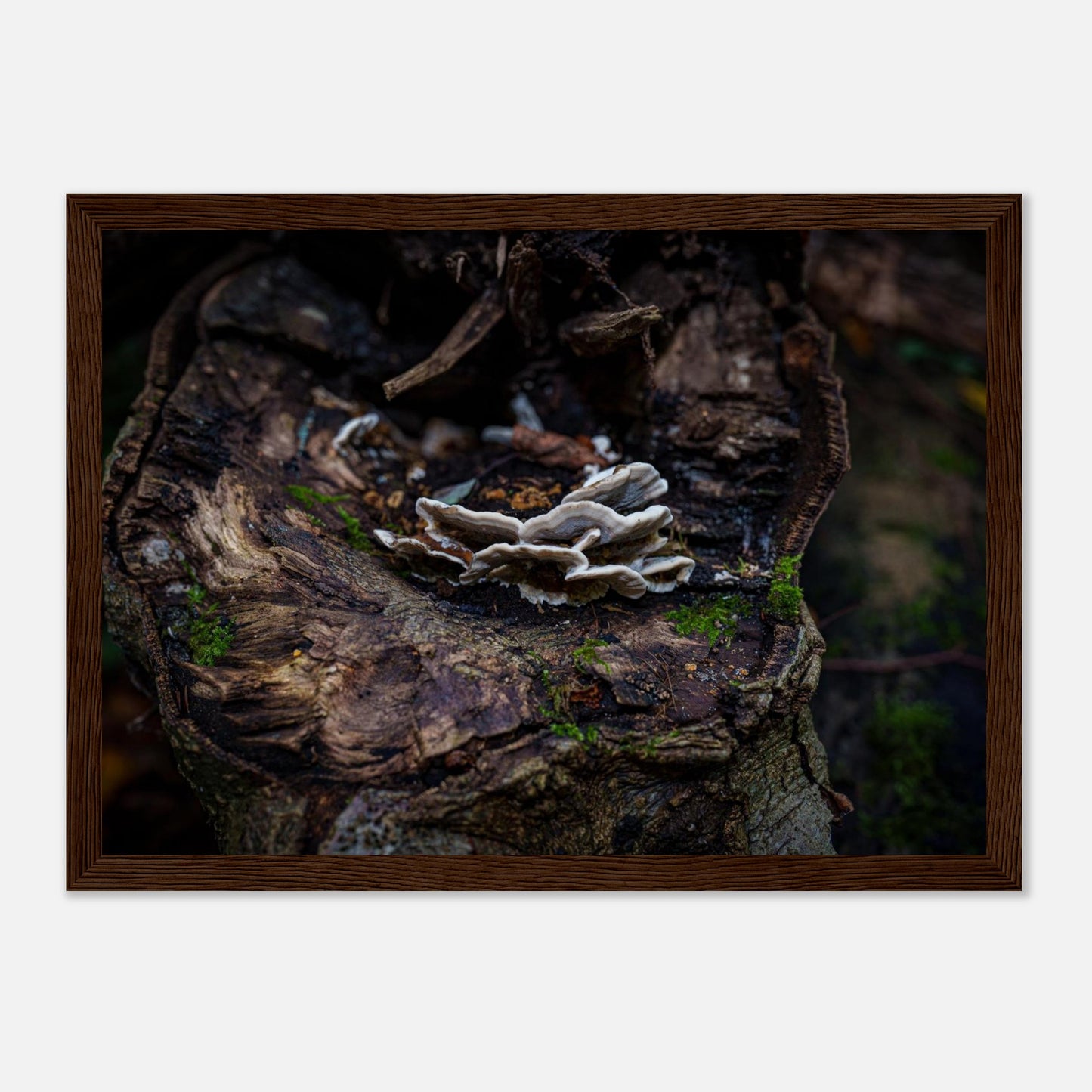 f81418fd-8467-44d5-8ed6-496454f17483