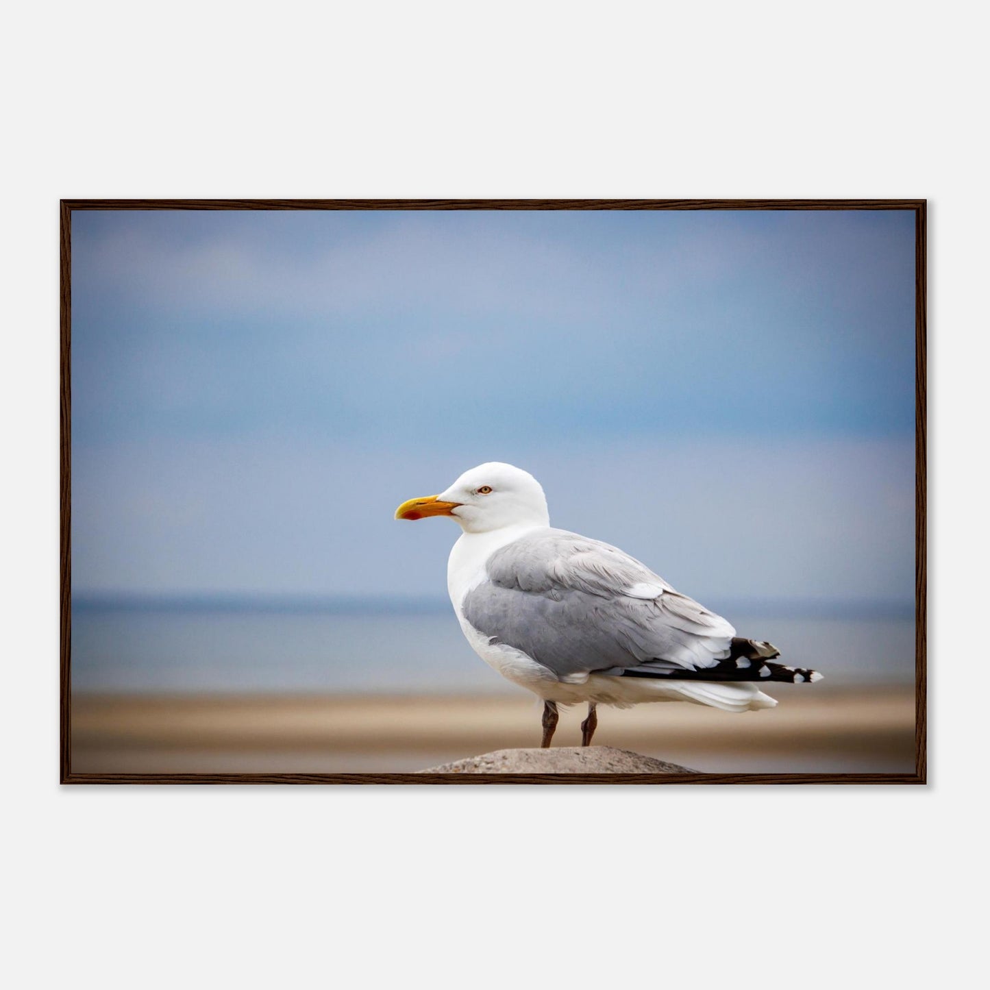 f9d08334-a904-436a-a932-389ab51d98d4